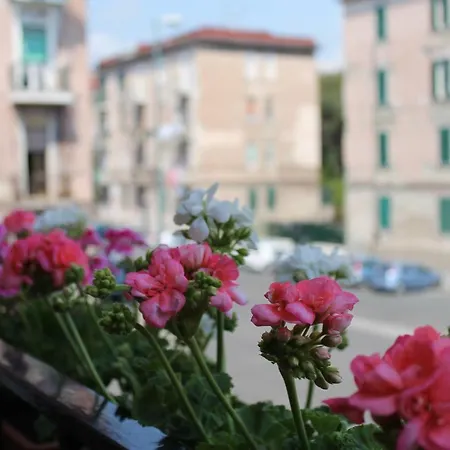 B&B Paura-3